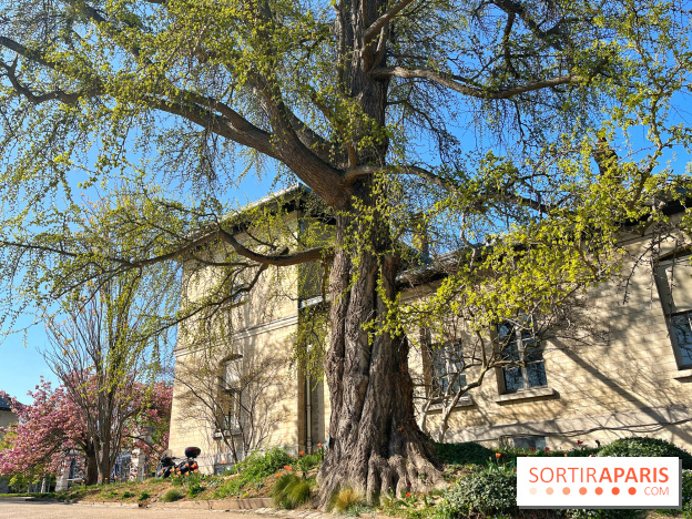 Le Jardin des Serres d'Auteuil - IMG 1492