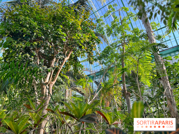 Le Jardin des Serres d'Auteuil - IMG 1552