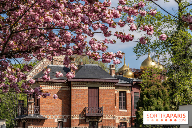 Parc de Bécon à Courbevoie - Pavillon des Indes - Cerisiers en fleurs -  A7C0006
