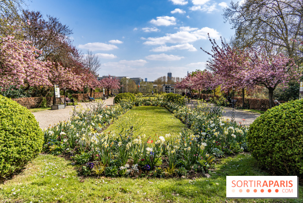 Parc de Bécon à Courbevoie - Pavillon des Indes - Cerisiers en fleurs -  A7C0020