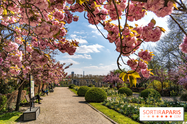 Parc de Bécon à Courbevoie - Pavillon des Indes - Cerisiers en fleurs -  A7C0035