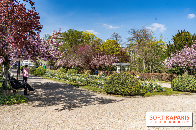 Parc de Bécon à Courbevoie - Pavillon des Indes - Cerisiers en fleurs -  A7C0047