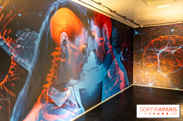 Paradox Museum Paris - les photos