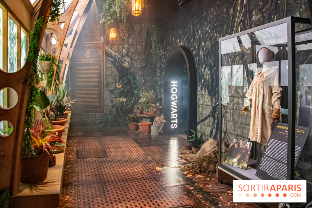 Harry Potter l'exposition cours de botanique