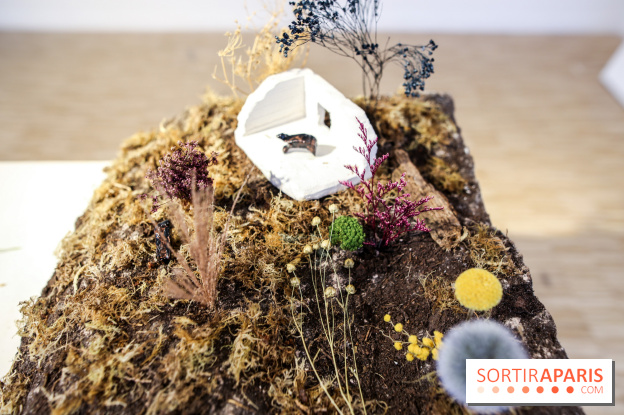 Paris Animal, nos photos de l'expo à Paris - IMG 9769