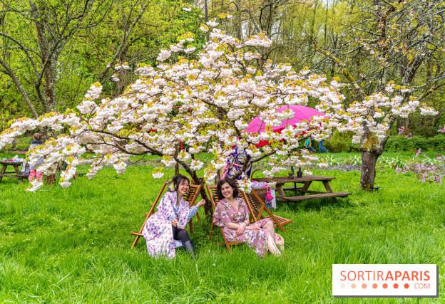 Le Moulin jaune - Hanami 2023