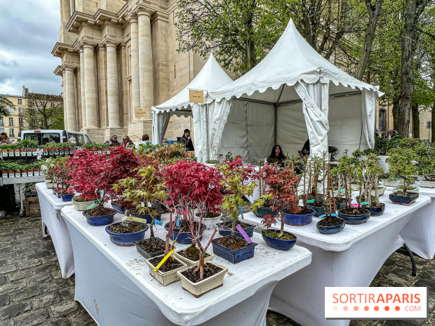 Esprit Jardin à Versailles - Marché aux plantes et animations