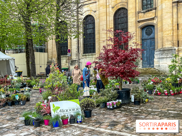 Esprit Jardin à Versailles - Marché aux plantes et animations  - IMG 6090