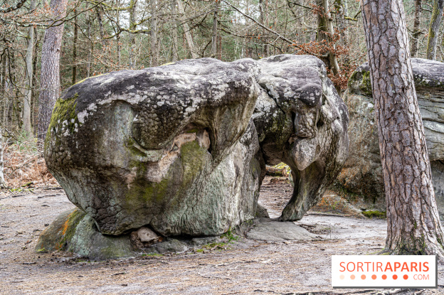 Barbizon, le village entre art et nature  -  A7C7535