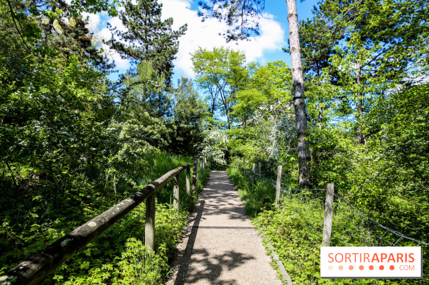Parc André Malraux à Nanterre, nos photos - IMG 9730