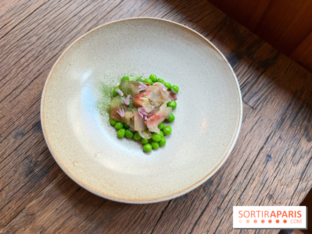 Géosmine - Maquereaux petits pois