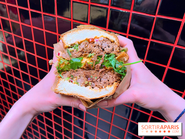 Alfi - Sandwich effiloché bœuf