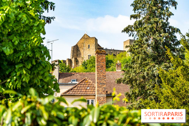 Le Château de la Madeleine à Chevreuse - A7C3890