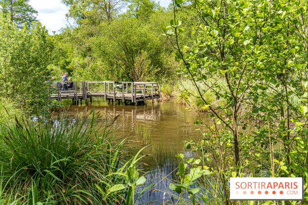 Sentier découverte de Maincourt - Vallée de Chevreuse - A7C4081