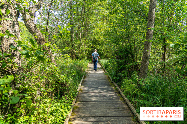 Sentier découverte de Maincourt - Vallée de Chevreuse - A7C4083