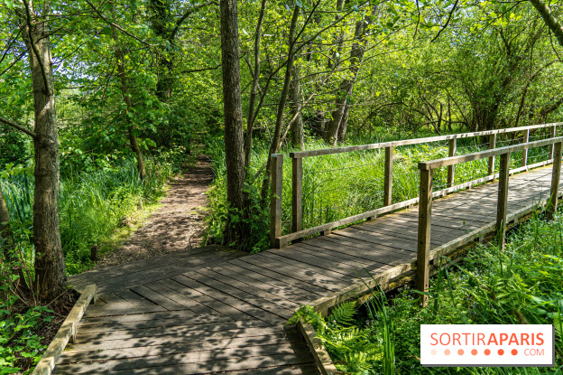 Sentier découverte de Maincourt - Vallée de Chevreuse - A7C4086