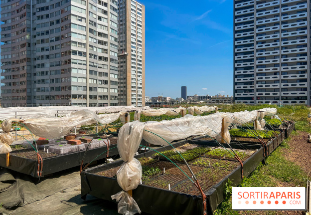 Les toits de Beaugrenelle