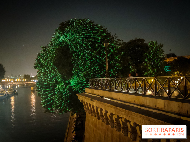 Nuit Blanche 2023 : des projections lumineuses magiques au Square du Vert Galant de l'Île de la Cité