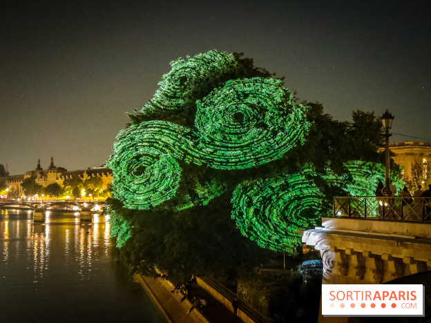 Nuit Blanche 2023 : des projections lumineuses magiques au Square du Vert Galant de l'Île de la Cité