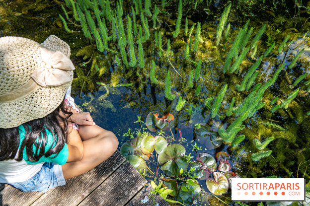 Sonja's Gardens in Perray-en-Yvelines - A7C5001