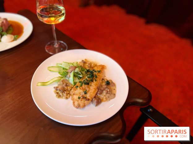 Mistinguett - Filet de Saint-Pierre