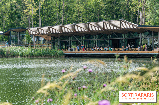 Perchoir Y, restaurant par Guillaume Sanchez et guinguette en forêt -  A7C5841
