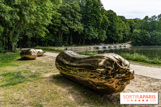 Perchoir Y, restaurant par Guillaume Sanchez et guinguette en forêt -  A7C5849