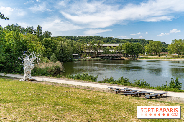 Perchoir Y, restaurant par Guillaume Sanchez et guinguette en forêt - A7C5871