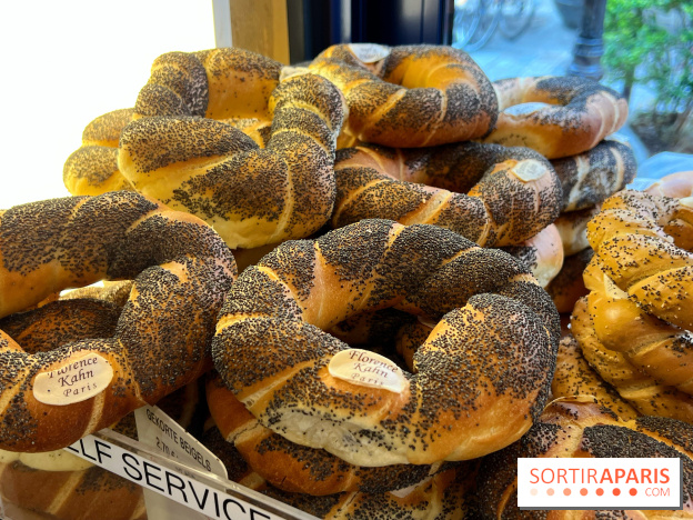 Florence Kahn - Pains