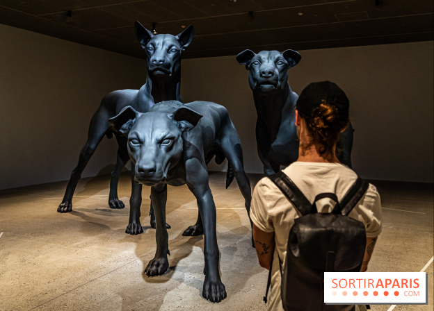 Exposition Ron Mueck à la Fondation Cartier 2023 - A7C6401