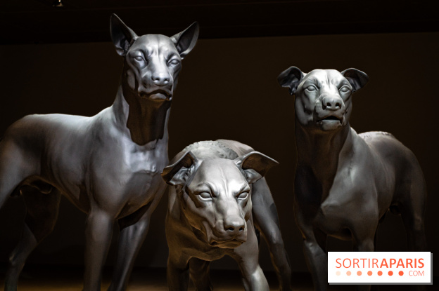 Exposition Ron Mueck à la Fondation Cartier 2023 - A7C6437