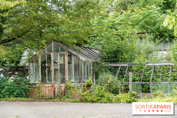 Jardin d'Agronomie Tropicale, le jardin exotique à Paris