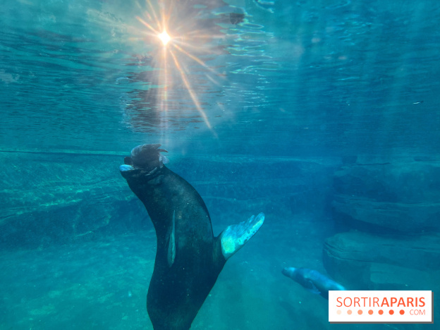Nocturnes au Parc Zoologique de Paris - IMG 3469