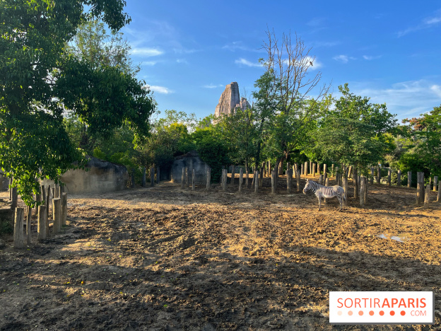 Nocturnes au Parc Zoologique de Paris - IMG 3495