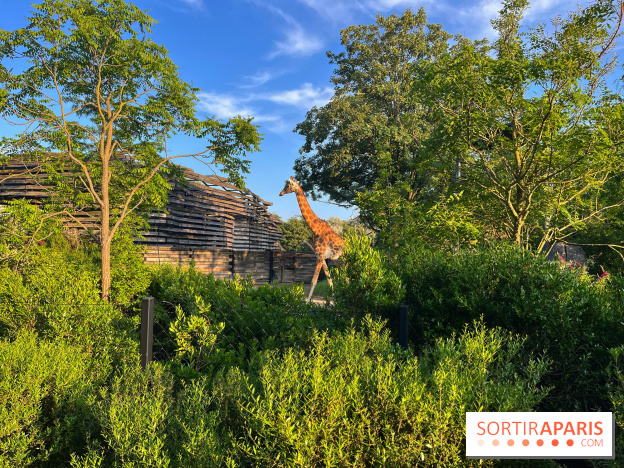 Nocturnes au Parc Zoologique de Paris