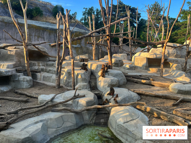 Nocturnes au Parc Zoologique de Paris - IMG 3517