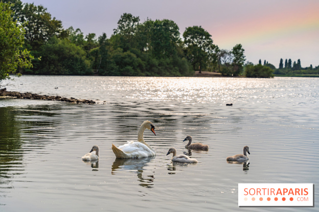 Base de loisirs de Saint-Quentin-en-Yvelines - Ile de loisirs de Trappes - activités - 295A94D4 9EFB 4FD4 9F1C 55C2E2224F4E