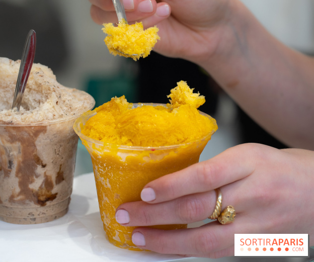 Granités-Neige de Jade Génin, l'Été Sous le Signe du Kakigori Réinventé - A7C7575