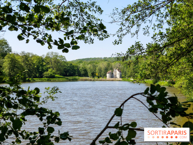 Balade nature dans la forêt de Montmorency, nos photos