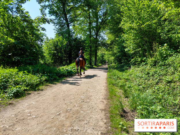 Balade nature dans la forêt de Montmorency, nos photos
