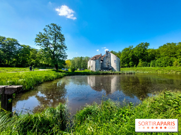 Balade nature dans la forêt de Montmorency, nos photos