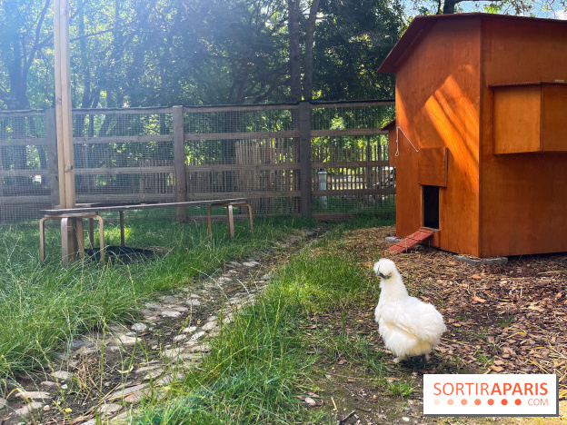 La ferme de la Villette et ses animaux
