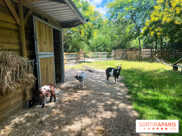 La ferme de la Villette et ses animaux