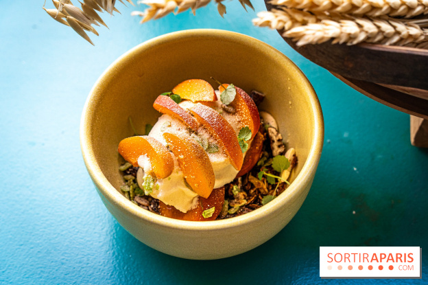 Glace insolite : la glace pain au chocolat de Sain -  A7C7851