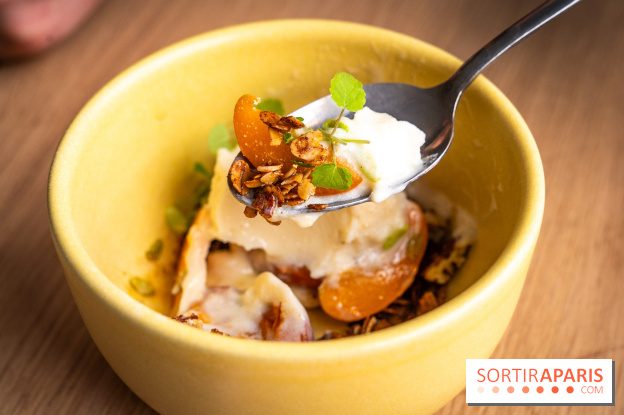 Glace insolite : la glace pain au chocolat de Sain -  A7C7852