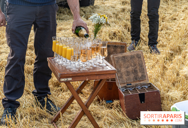 Montgolfière à Fontainebleau, vol au dessus de l'Ile-de-France - A7C9031
