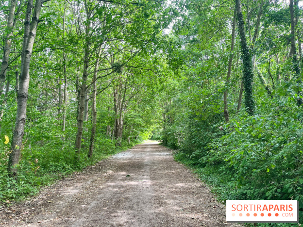 Cergy, la ville aux milles facettes - image00136