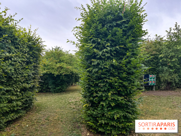 Les labyrinthes de Gally 2023 - image00012