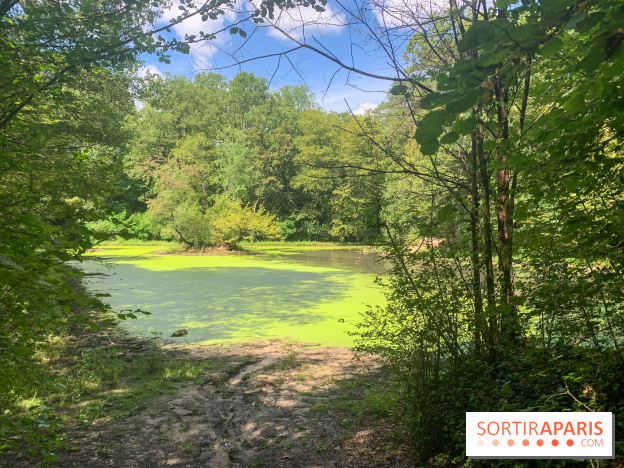 Le Parc forestier de la Poudrerie à Sevran