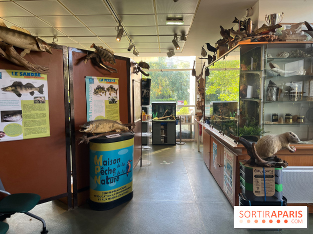 La Maison de la Pêche et de la Nature - image00027